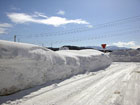 新潟県三和村の積雪情報2