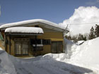新潟県三和村の積雪情報3